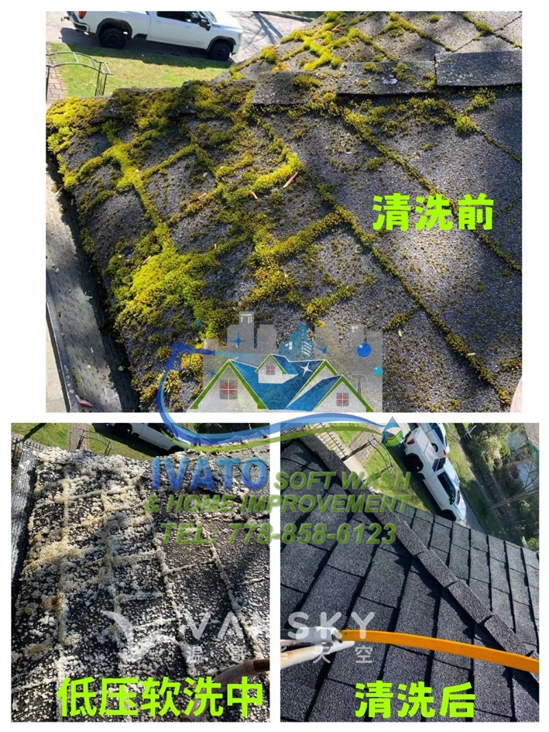 221101225711_01- Roof  Cleaning 06.1.jpg